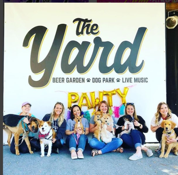 the yard